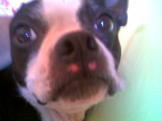 JAck